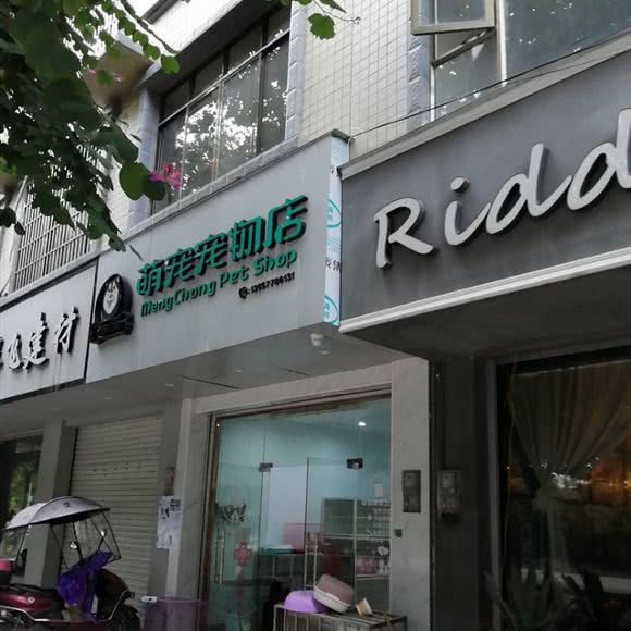 萌宠宠物店:河池市宜州区