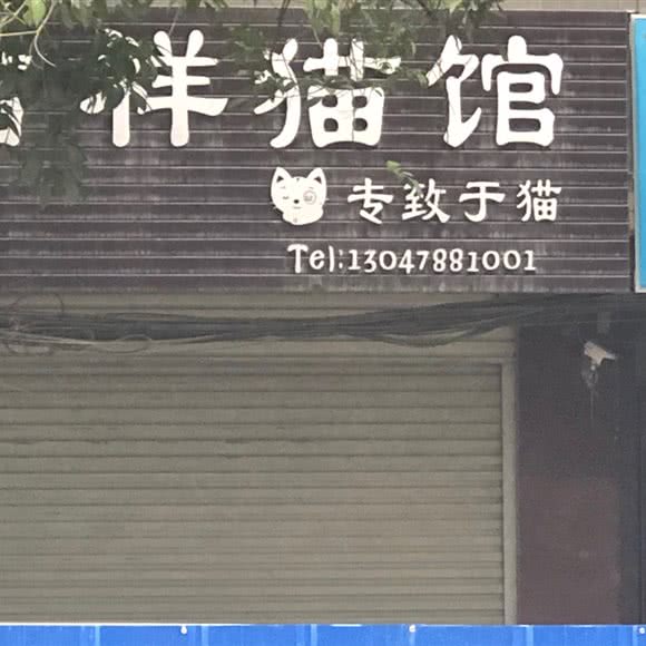 吉祥猫馆:河池市宜州区