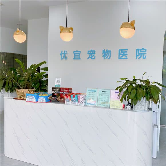 优宜宠物医院:河池市宜州区