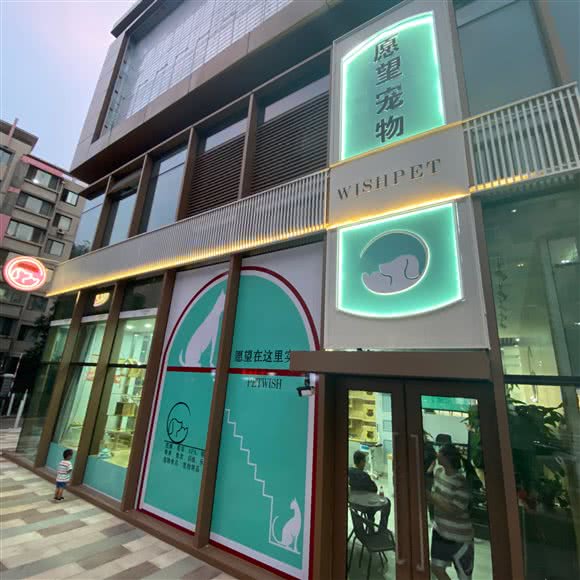 愿望宠物:沈阳市大东区东中街附近
