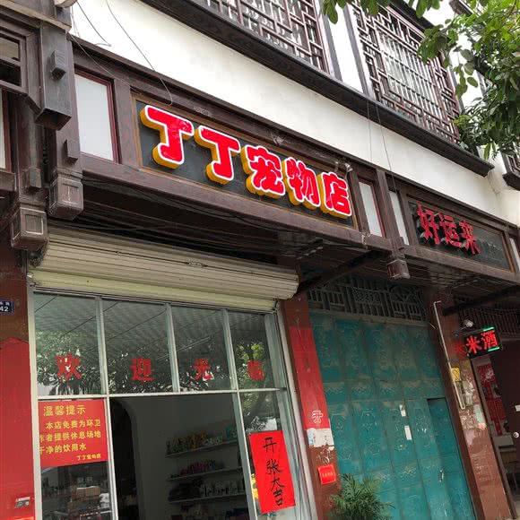 丁丁宠物店:河池市环江毛南族自治县