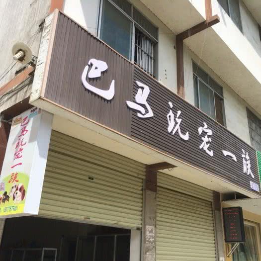 萌宠小屋:河池市巴马瑶族自治县
