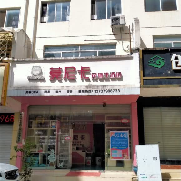 莫尼卡宠物狗生活馆:河池市都安瑶族自治县