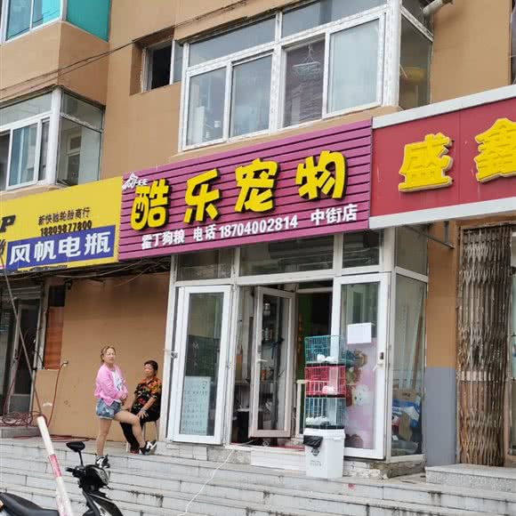 酷乐宠物(津桥店):沈阳市大东区东中街附近