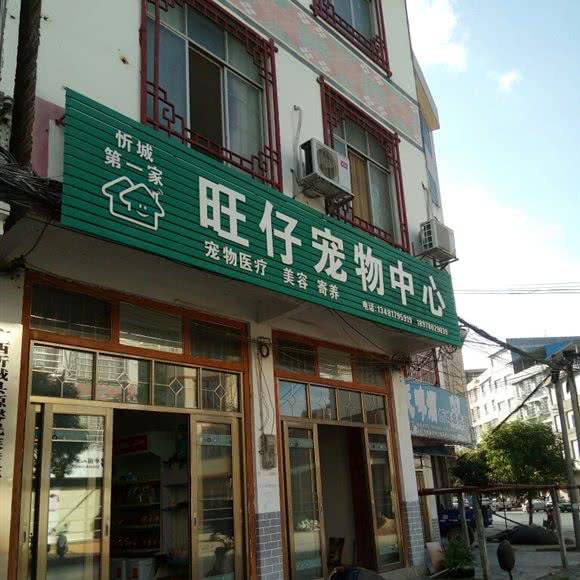 旺仔宠物中心:来宾市忻城县