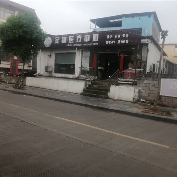 宠物狗医疗中心:来宾市武宣县