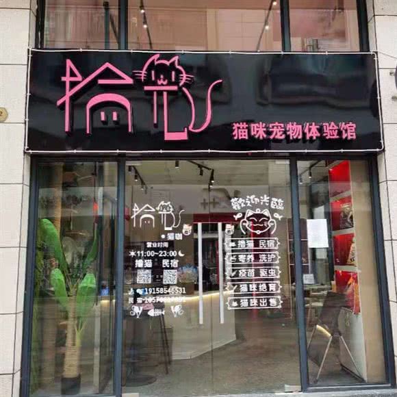 拾光猫咪宠物体验馆:崇左市扶绥县