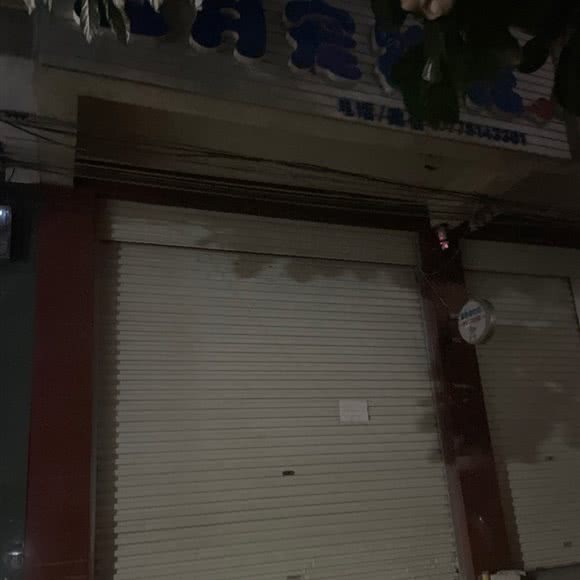 五月宠物馆:崇左市扶绥县
