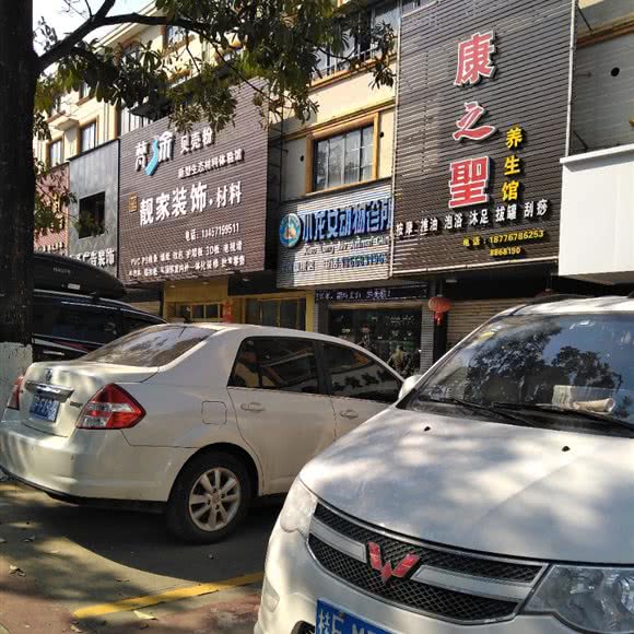 小龙女动物诊所(龙州旗舰店):崇左市龙州县