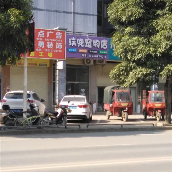 瑞兜宠物店:崇左市天等县