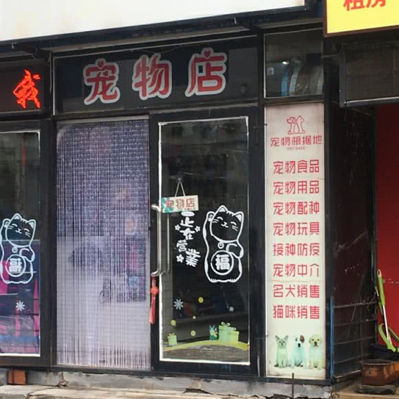 宠物店:沈阳市大东区东中街附近