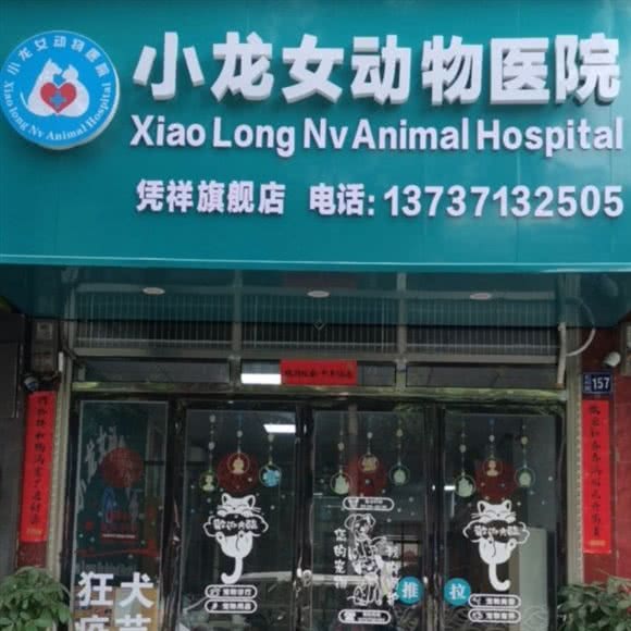 小龙女动物医院:崇左市凭祥市