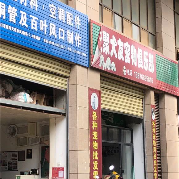 聚犬友宠物俱乐部:海口市龙华区