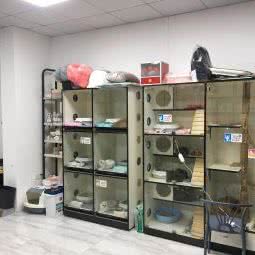 宠物港(海口店):海口市龙华区