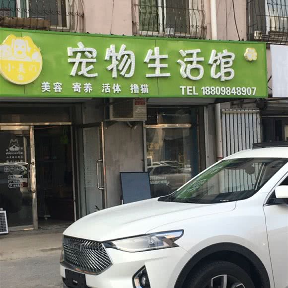 小美の宠物生活馆:沈阳市大东区东中街附近