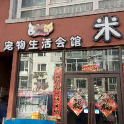 娃娃宠物生活会馆:沈阳市大东区东中街附近