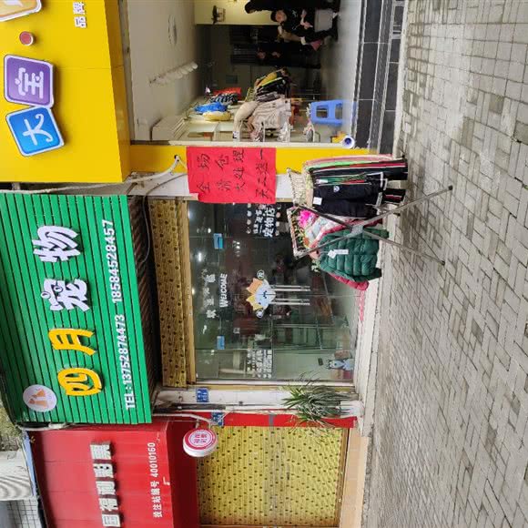 四月宠物:重庆城区万州区