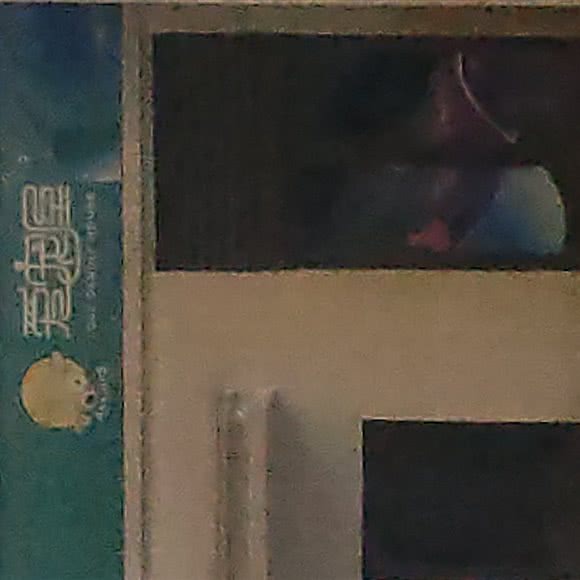 爱宠屋:重庆城区万州区