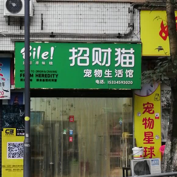 招财猫宠物生活馆:重庆城区万州区
