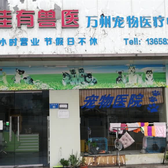 佳有兽医万州宠物医疗中心:重庆城区万州区