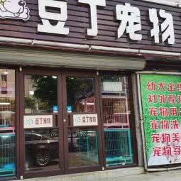 豆丁宠物:沈阳市大东区东中街附近