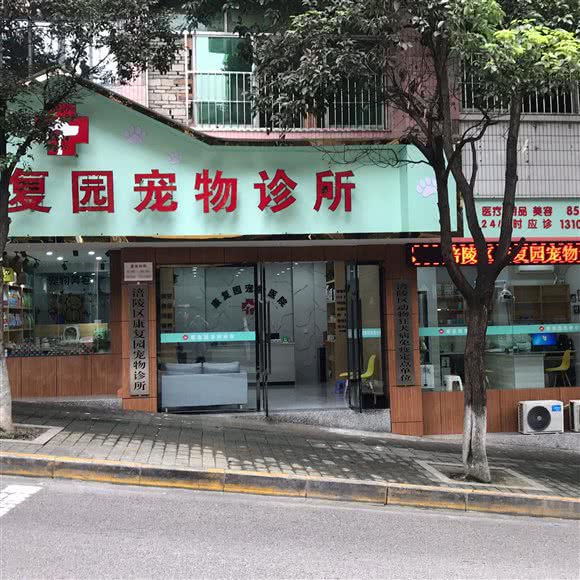 康复园宠物医院:重庆城区涪陵区