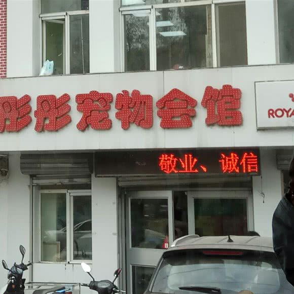 彤彤宠物会馆(小东店):沈阳市大东区东中街附近