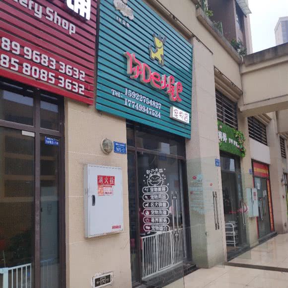 你de小尾巴宠物店:重庆城区大渡口区