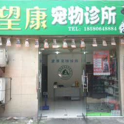 望康宠物医院:重庆城区大渡口区