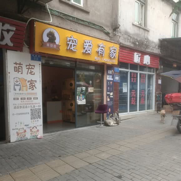 唐妞妞宠爱有家:重庆城区江北区