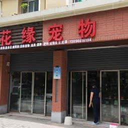 花缘宠物:重庆城区沙坪坝区