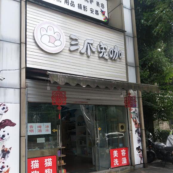三爪宠咖:重庆城区九龙坡区