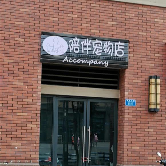 陪伴宠物店Accompany:重庆城区九龙坡区
