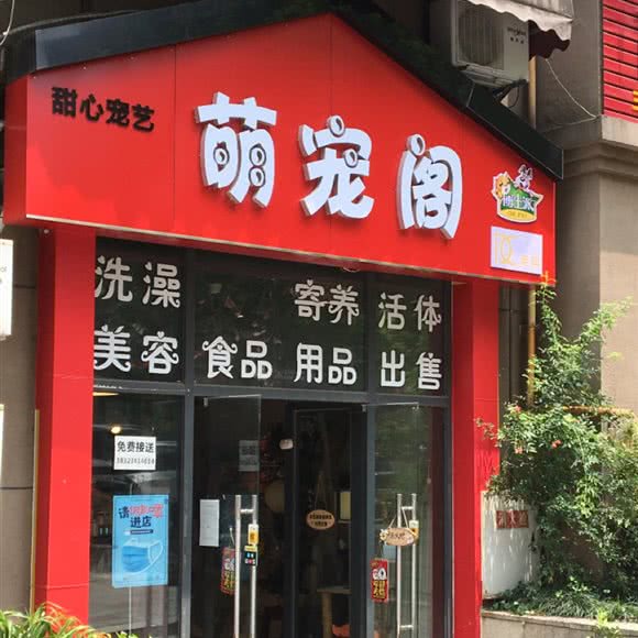 甜心宠艺萌宠阁:重庆城区九龙坡区