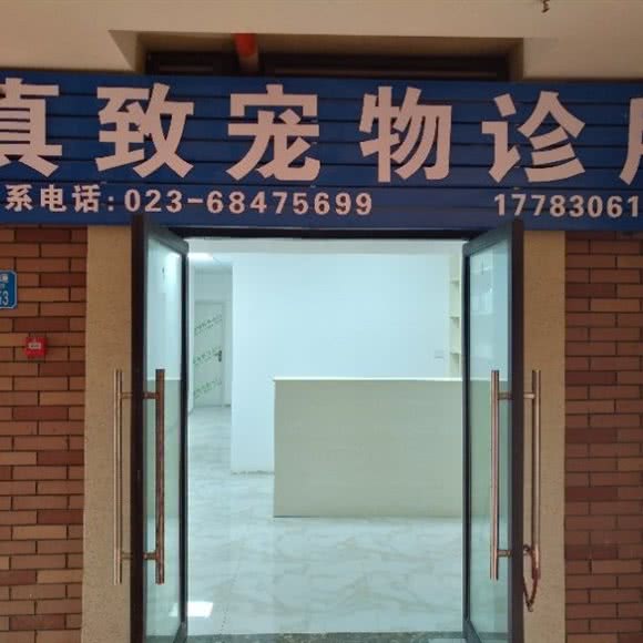 真致宠物诊所:重庆城区九龙坡区