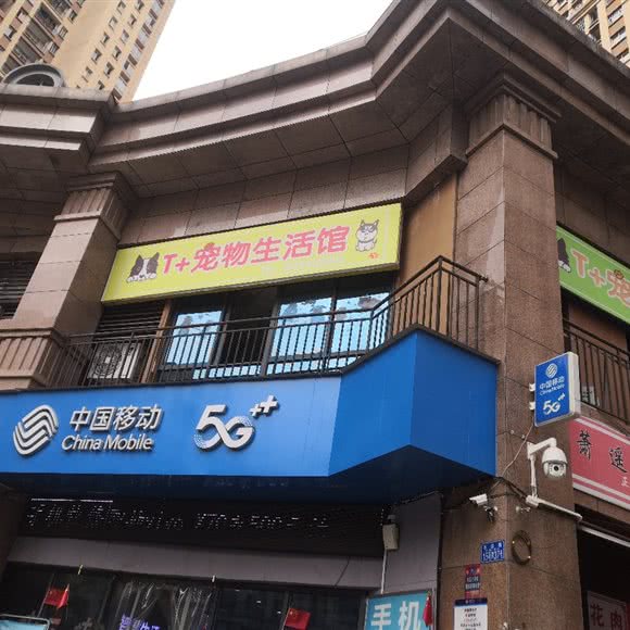 体加宠物:重庆城区南岸区