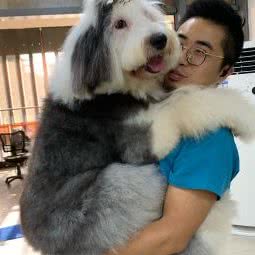 宠遇记宠物会所:重庆城区南岸区