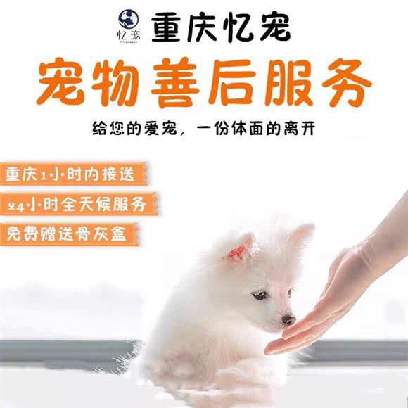 重庆忆宠宠物殡葬火化善后:重庆城区南岸区