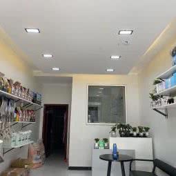 贝茗宠物店:重庆城区綦江区