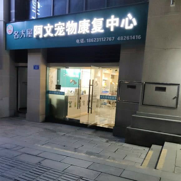 名犬屋阿文宠物康复中心:重庆城区綦江区