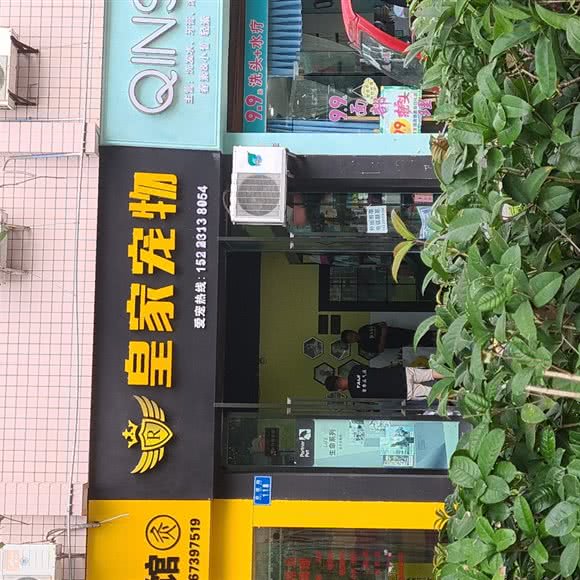 皇家宠物:重庆城区大足区