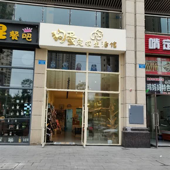 狗蛋宠物生活馆:重庆城区大足区