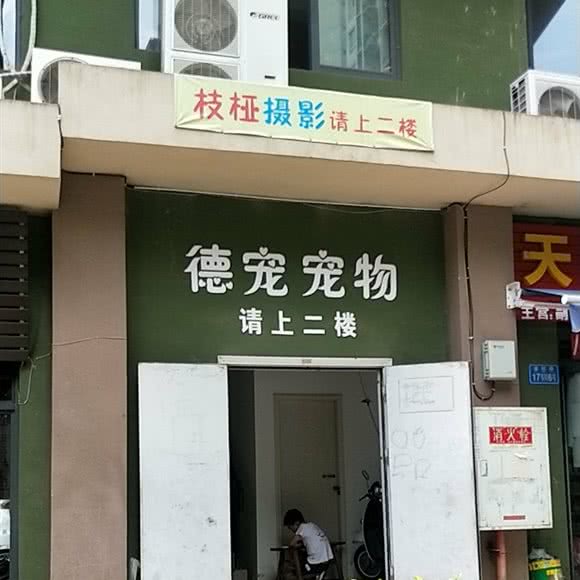 德宠宠物:重庆城区渝北区