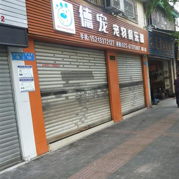 德宠宠物俱乐部:重庆城区渝北区