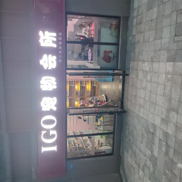I GO宠物会所(两江新宸精宠店):重庆城区渝北区