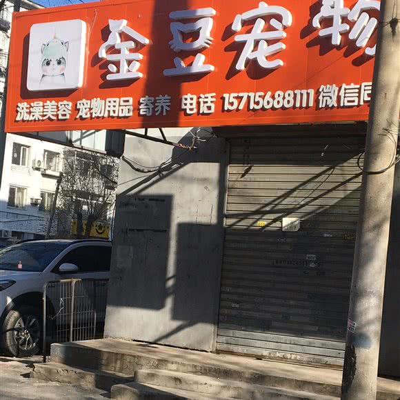 金豆宠物:沈阳市大东区东站附近