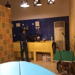 宠物生活馆:重庆城区渝北区
