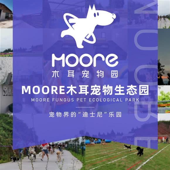 Moore木耳宠物园:重庆城区渝北区