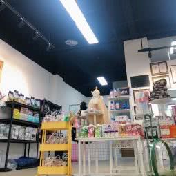 萌宠雾语宠物生活馆:重庆城区巴南区