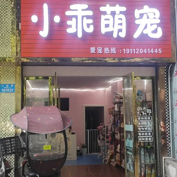 小乖萌宠:重庆城区长寿区
